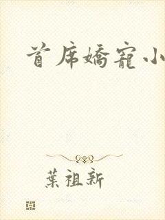 首席娇宠小情人