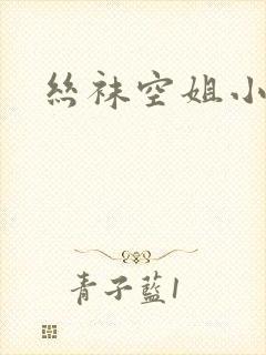 丝袜空姐小说