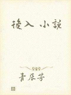后入 小说