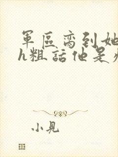 军区脔到她哭hh粗话他是疯批