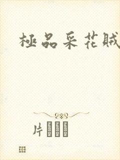 极品采花贼