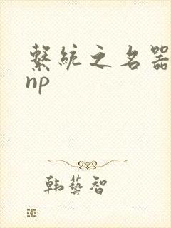 系统之名器攻略np