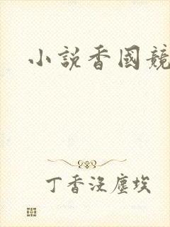 小说香国竞艳