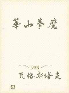华山拳魔