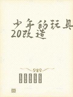 少年的玩具1一20改造