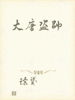 大唐盗帅