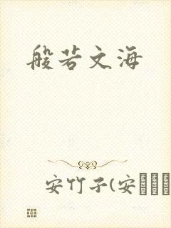 般若文海封面