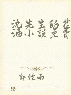 沈先生的花式调酒小说免费阅读