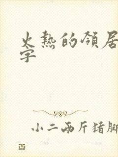 火热的领居中文字