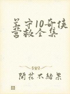 羊守10奇侠大营救全集封面