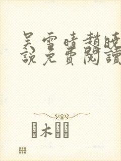 吴雪晴赵晓东小说免费阅读封面