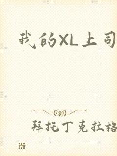 我的XL上司