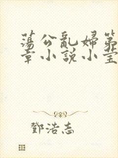 荡公乱妇第51章小说小莹