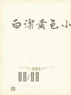 白洁黄色小说