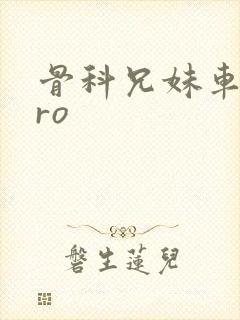 骨科兄妹车多pro