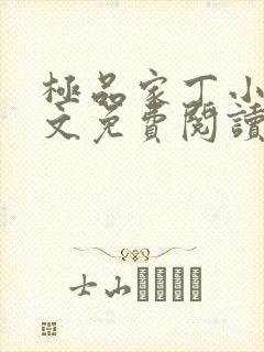 极品家丁小说全文免费阅读封面