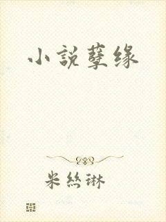 小说孽缘