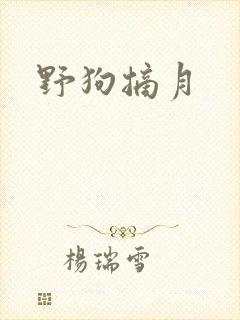 野狗摘月