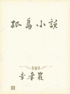 孤岛小说