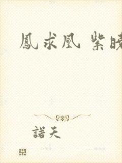 凤求凰 紫晓封面