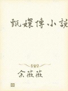 甄嬛传小说