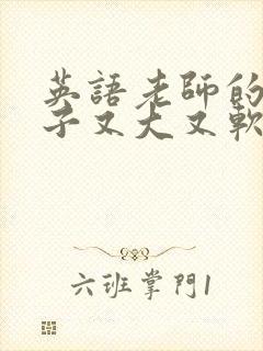 英语老师的小兔子又大又软封面