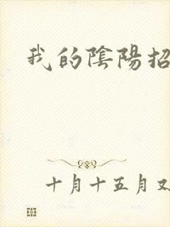 我的阴阳招魂灯封面