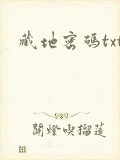 藏地密码txt