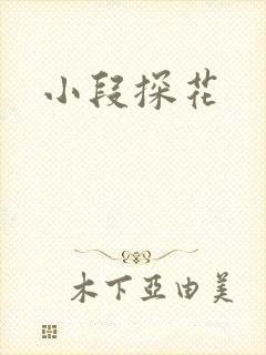 小段探花