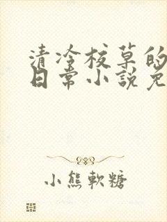 清冷校草的堕落日常小说免费阅读
