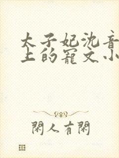 太子妃沈音和皇上的宠文小说封面