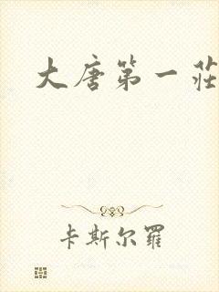 大唐第一庄封面