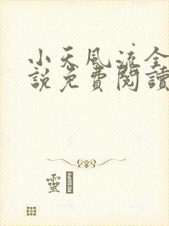 小天风流全集小说免费阅读
