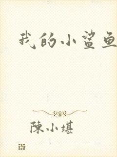 我的小鲨鱼封面