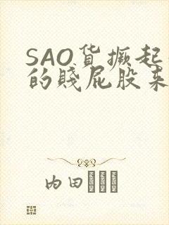 SAO货撅起你的贱屁股来
