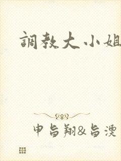 调教大小姐封面