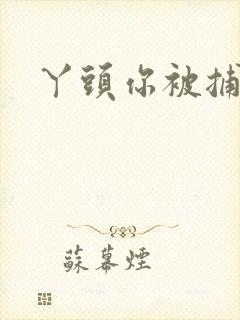 丫头你被捕了