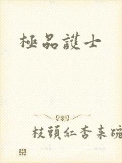 极品护士封面