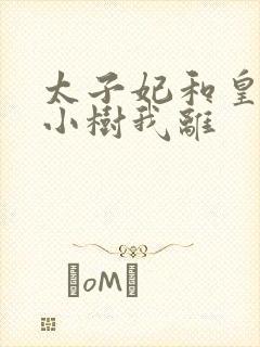 太子妃和皇上在小树我离