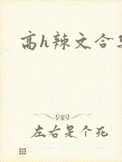 高h辣文合集