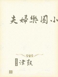 夫妇乐园小说
