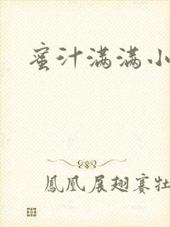 蜜汁满满小说
