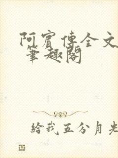 阿宾传全文阅读 笔趣阁