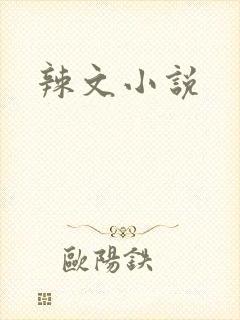 辣文小说