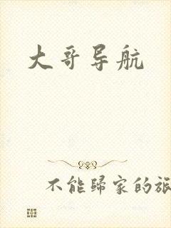 大哥导航