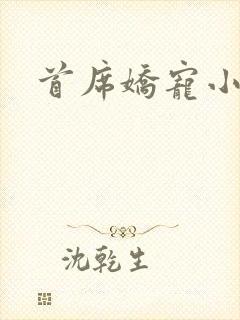 首席娇宠小情人封面