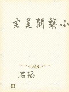 完美关系小说封面
