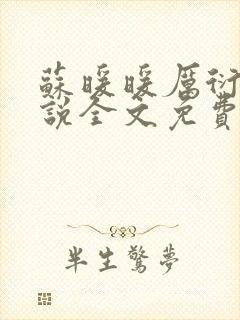 苏暖暖厉衍琛小说全文免费阅读