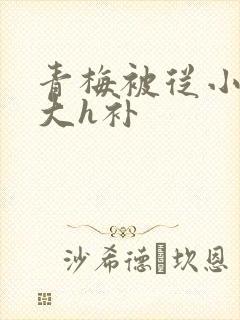 青梅被从小摸到大h补封面