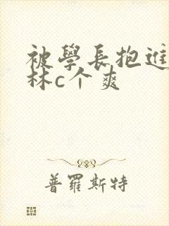 被学长抱进小树林c个爽封面